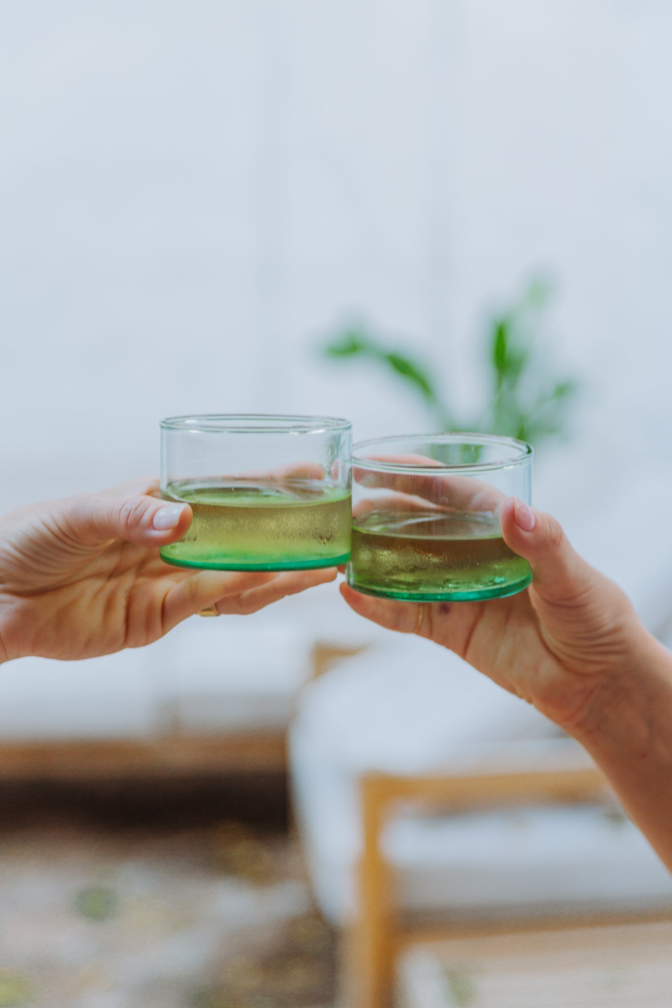 Everyday Shorty Glasses