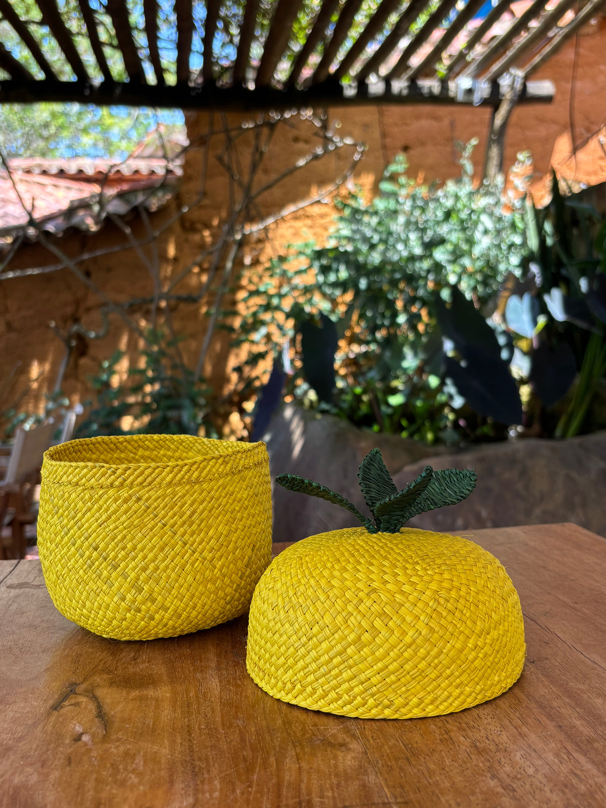 Lemon Basket