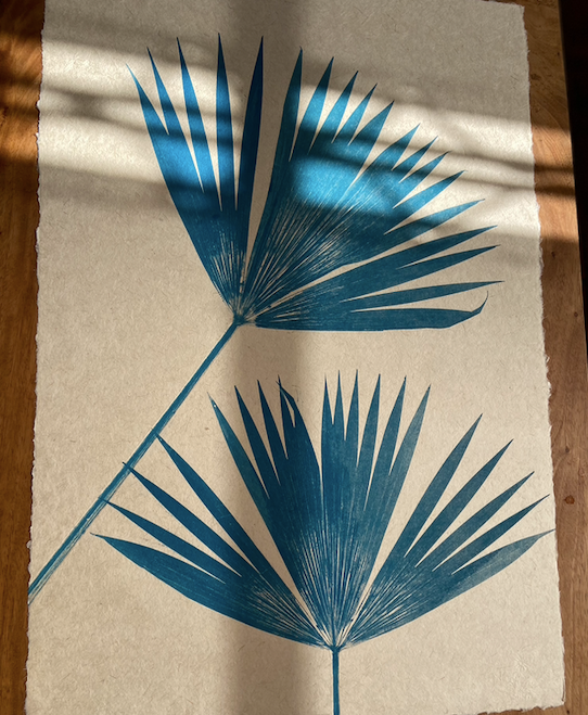 Palm Print