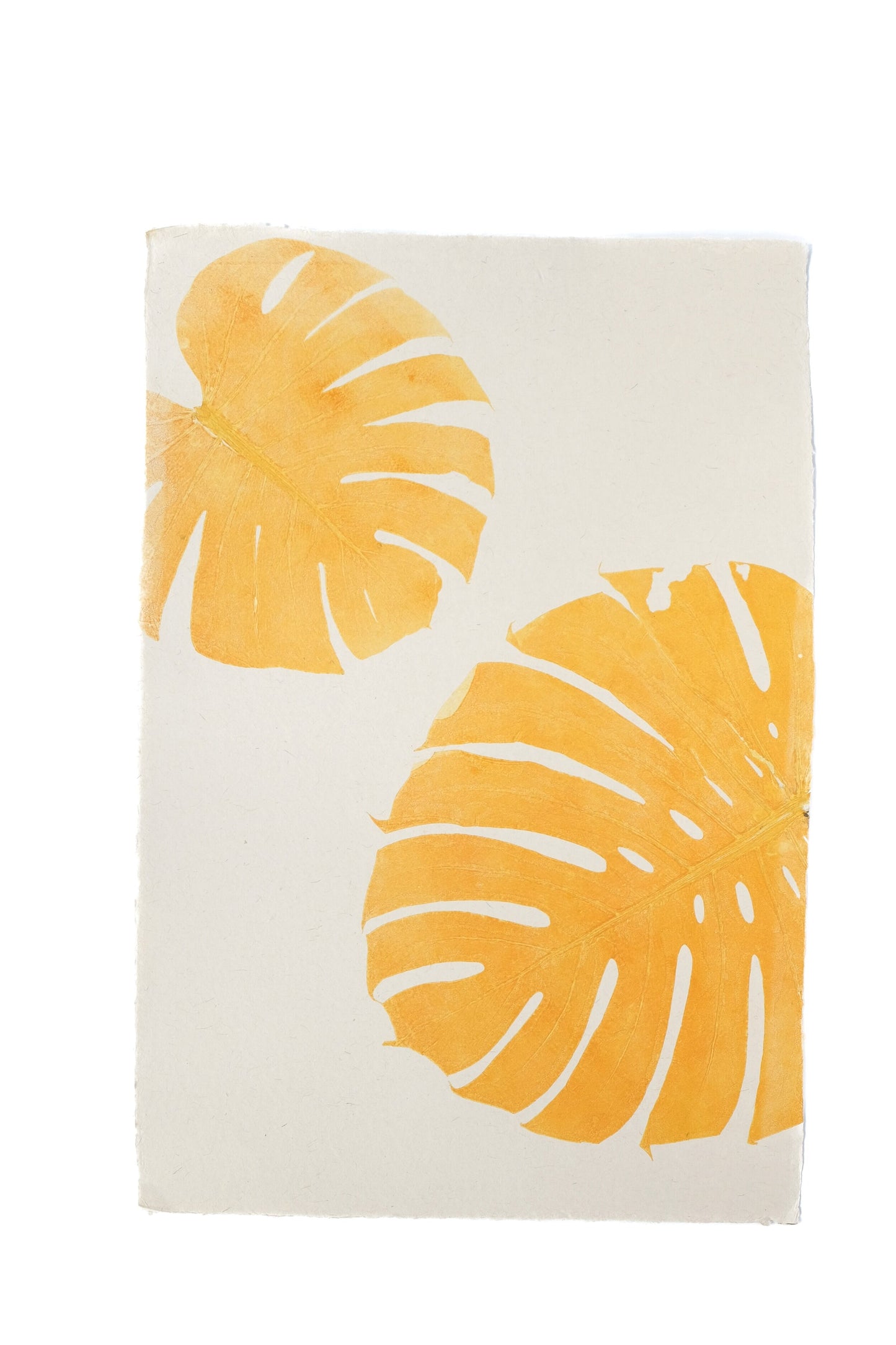 Monstera Print