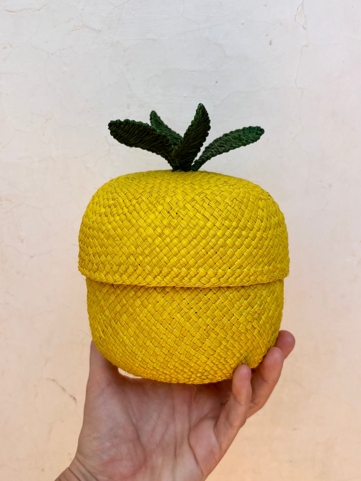 Lemon Basket