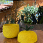 Lemon Basket