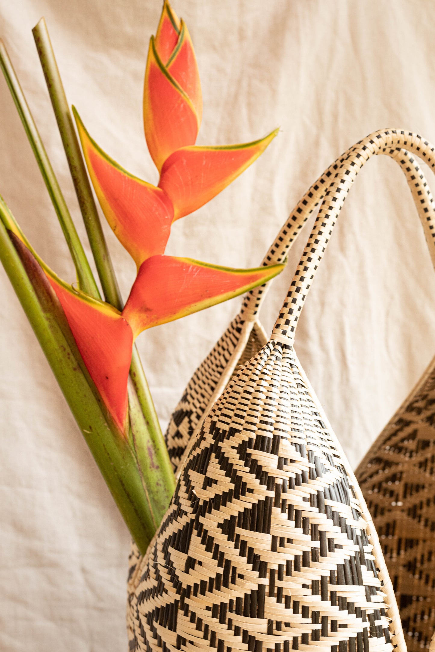 Cuatro tetas handwoven basket with geometric patterns, predominantly black and natural colors, displayed against a backdrop of a potted plant with vibrant orange flowers.